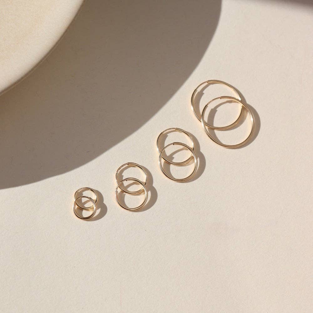 Goldie Hoops - Box Turtle