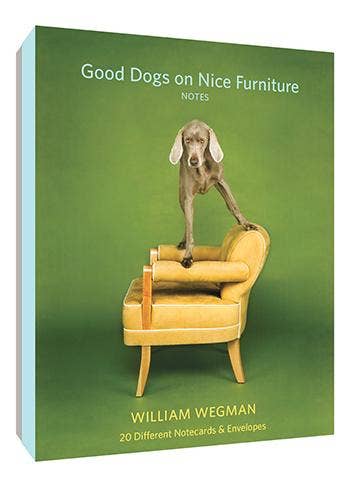 Good Dogs on Nice Furniture Notecards - Box Turtle
