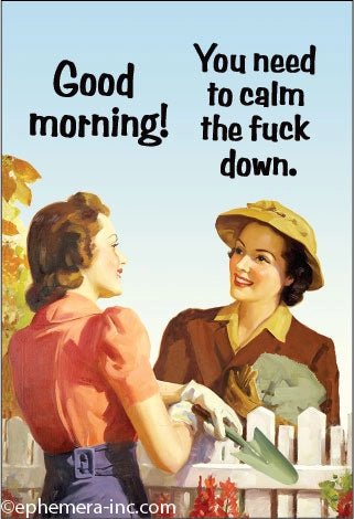 Good Morning! You Need To Calm the Fuck Down - Box Turtle