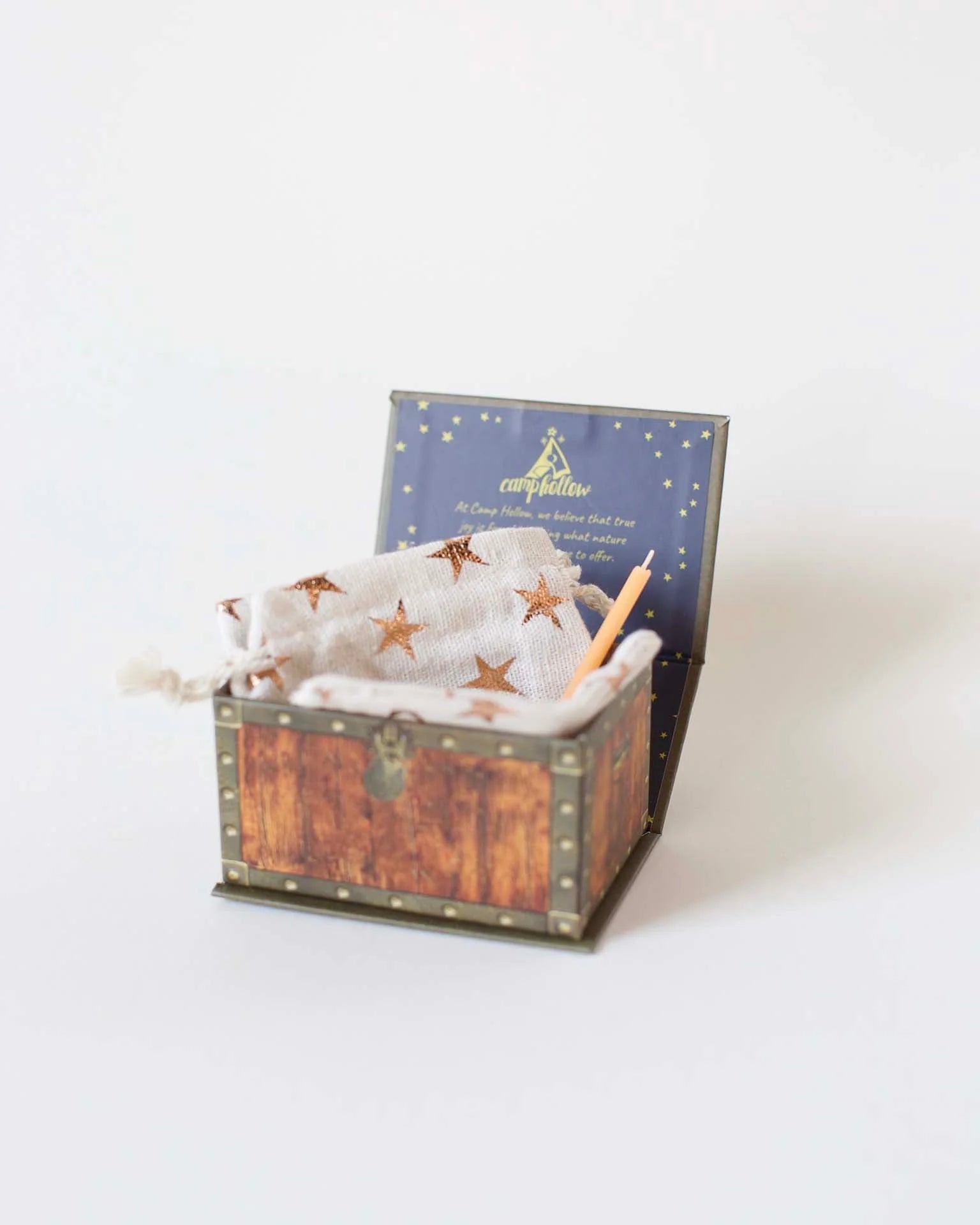 Goodnight Goose Cake Topper - Box Turtle
