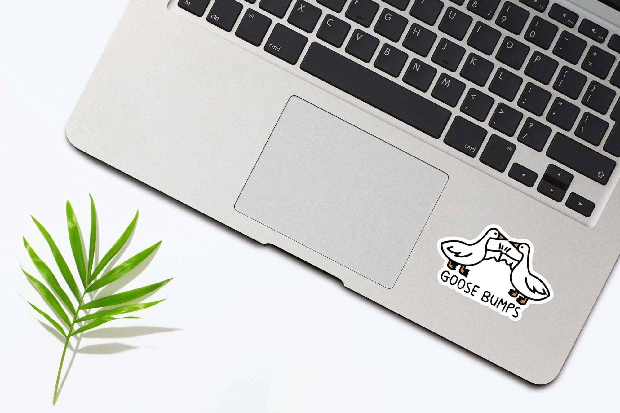 Goose Bumps Sticker - Box Turtle