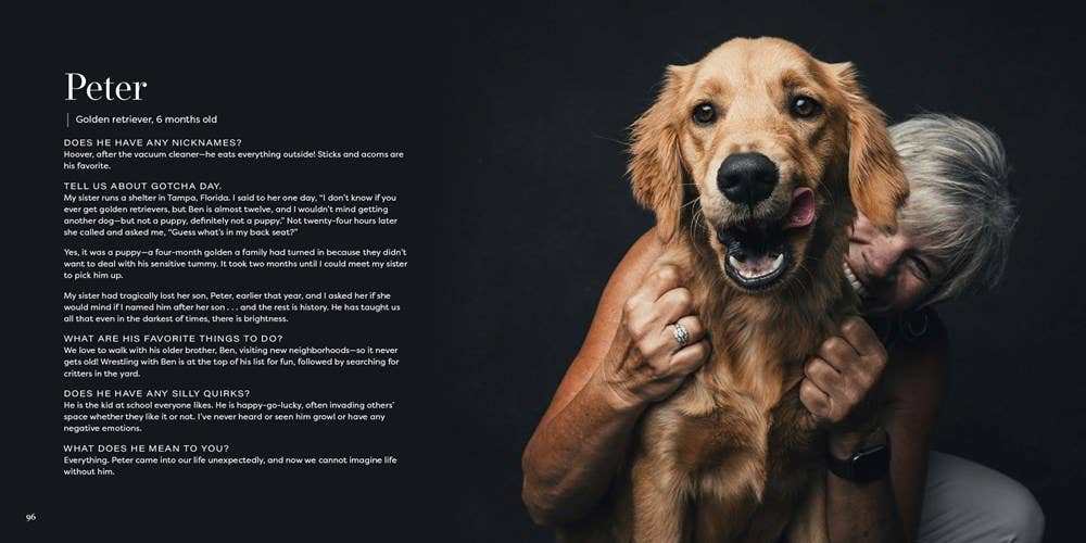 Gotcha Day - Box Turtle