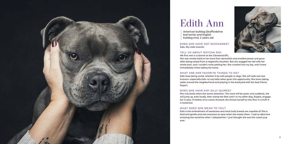 Gotcha Day - Box Turtle