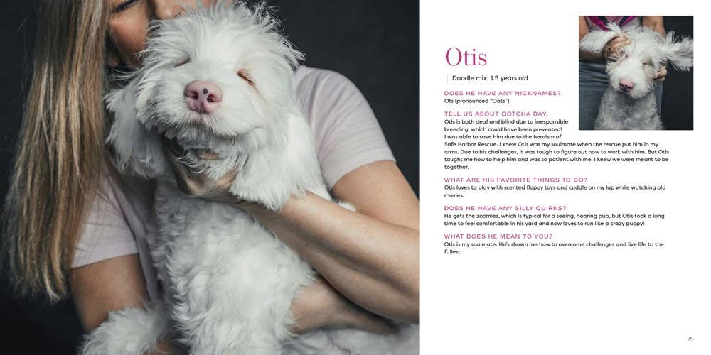 Gotcha Day - Box Turtle