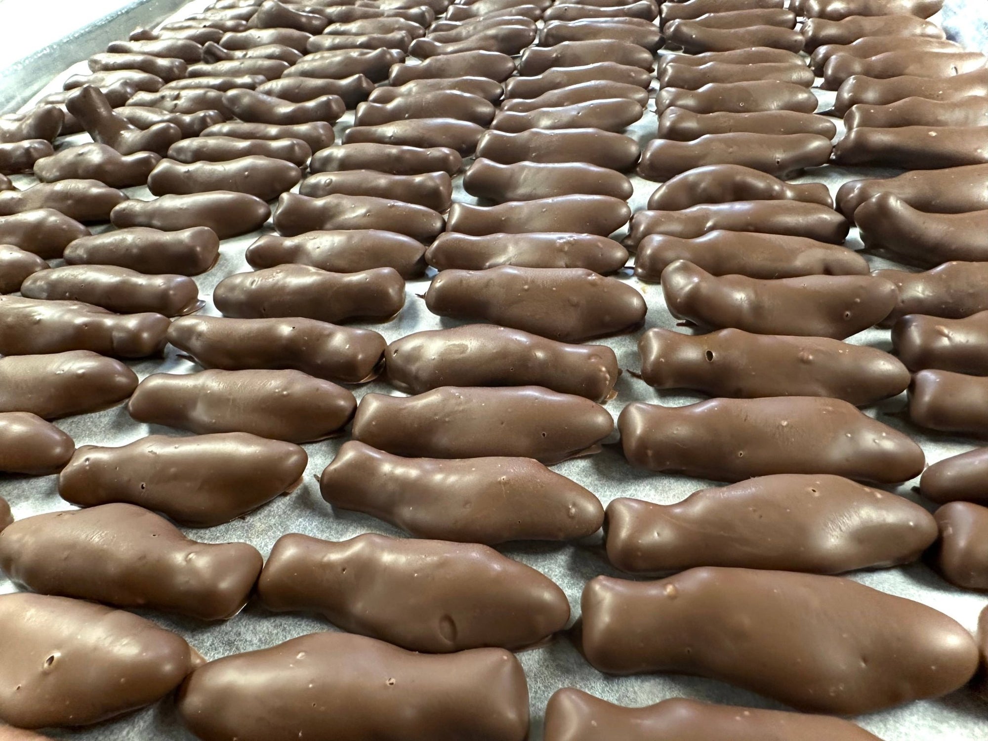 Gourmet O'Swedish Milk Chocolate Fish - Box Turtle