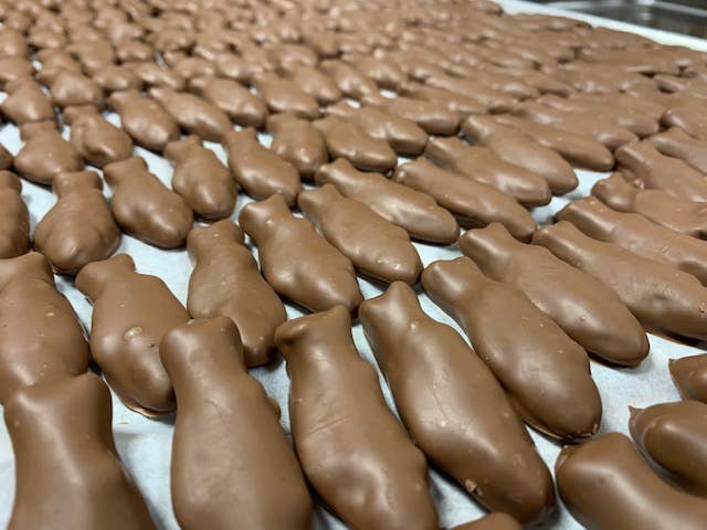 Gourmet O'Swedish Milk Chocolate Fish - Box Turtle