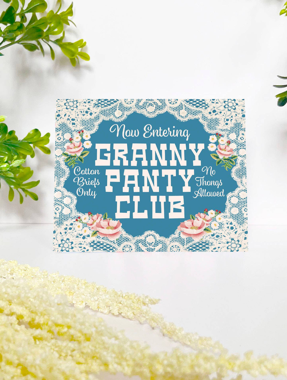 Granny Panty Club Funny Birthday Card - Box Turtle