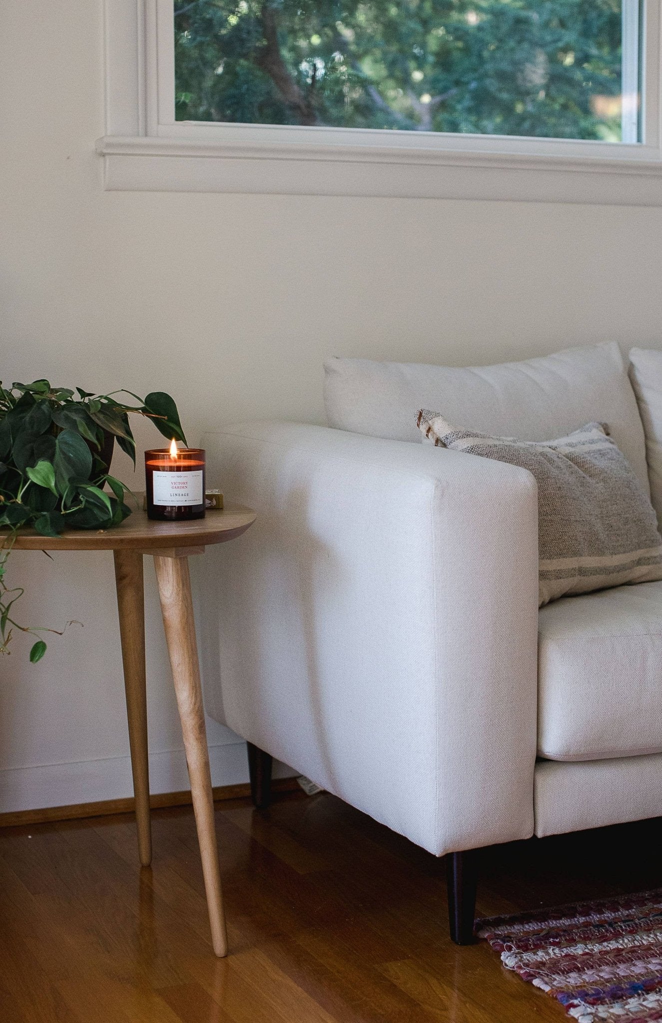 Grapefruit & Fig Candle - Box Turtle