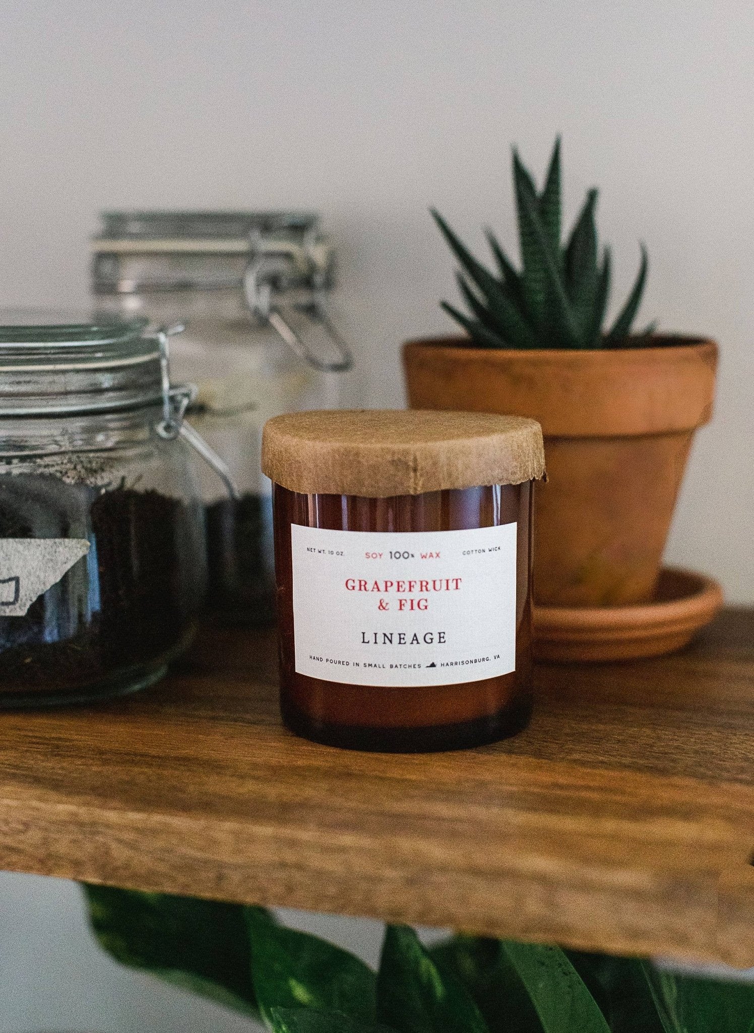 Grapefruit & Fig Candle - Box Turtle
