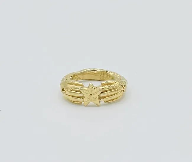 Guiding Light Ring - Box Turtle
