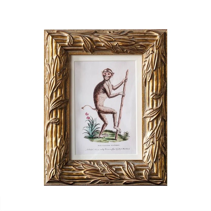 Hampshire Matted Frame - Assorted Sizes - Box Turtle