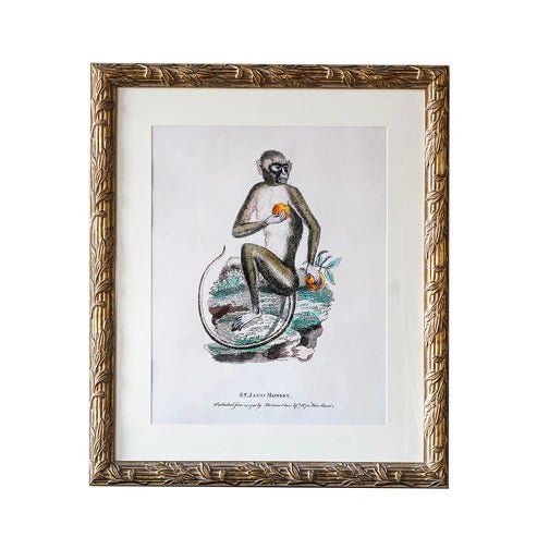 Hampshire Matted Frame - Assorted Sizes - Box Turtle