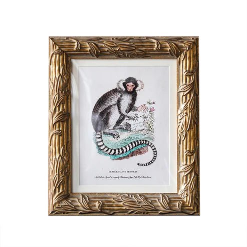 Hampshire Matted Frame - Assorted Sizes - Box Turtle