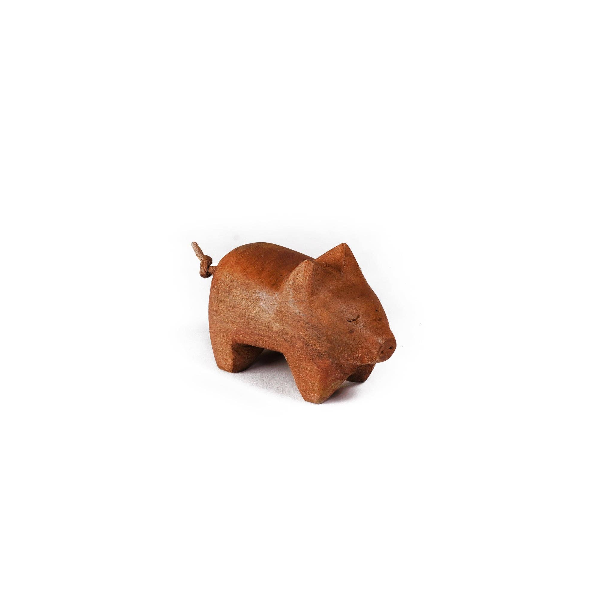 Hand Carved Wooden Pig - Box Turtle