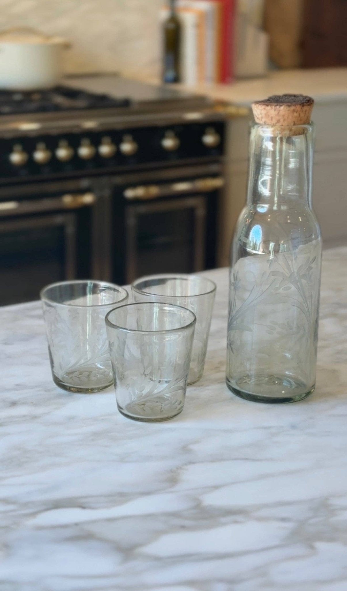 Hand - etched Carafe with Bark Top - Box Turtle