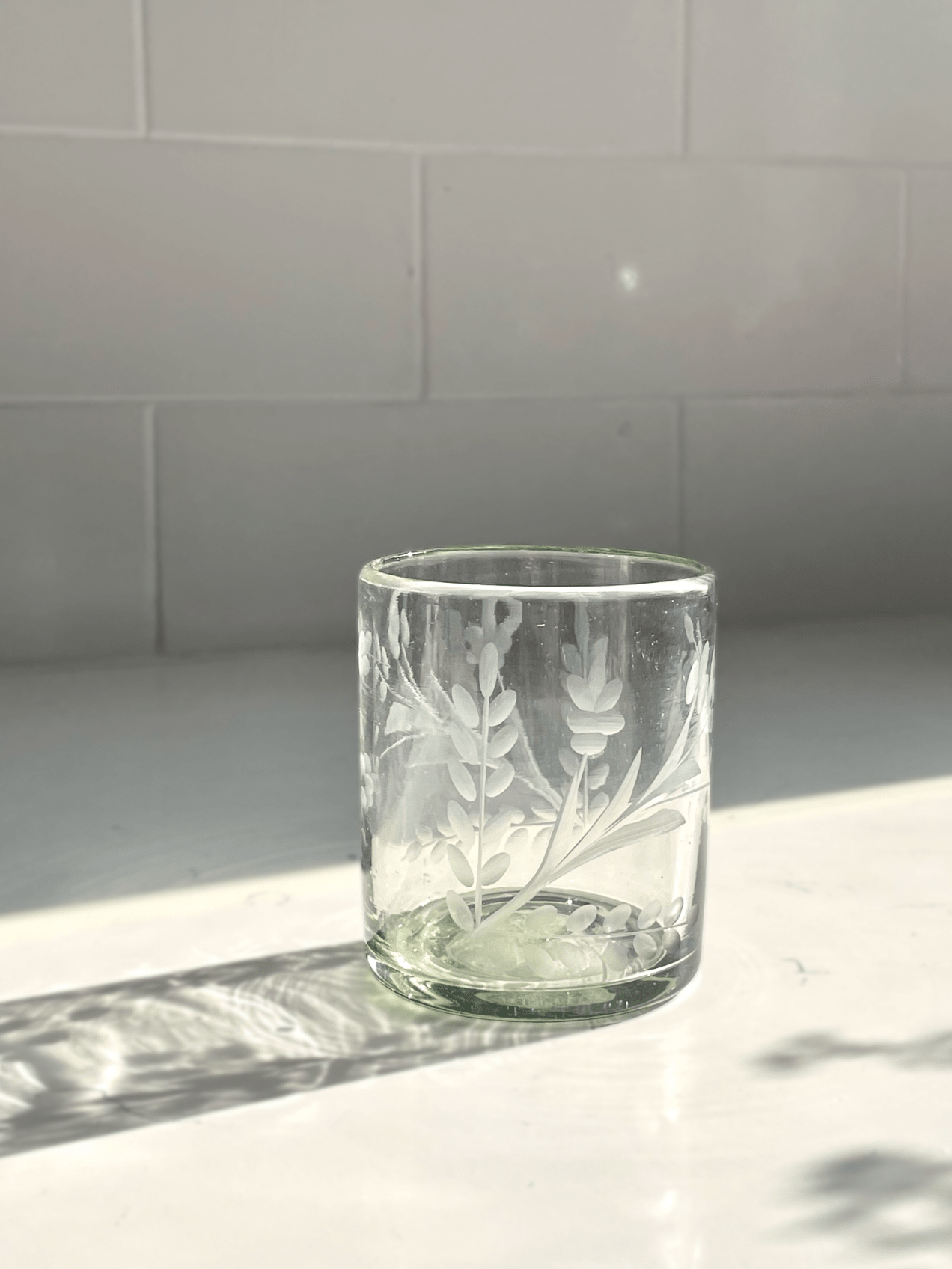 Hand - etched Tumbler Glass - Box Turtle