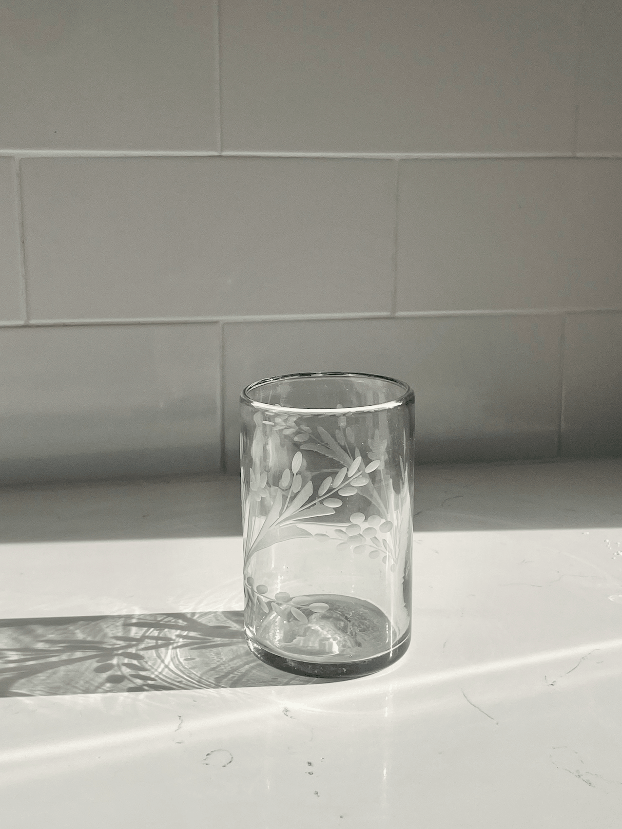 Hand - etched Tumbler Glass - Box Turtle