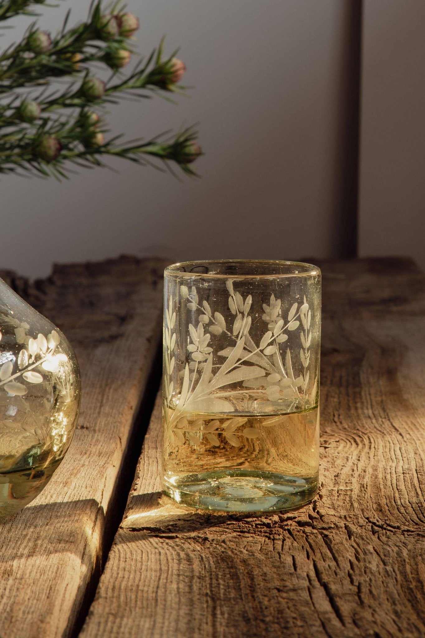 Hand - etched Tumbler Glass - Box Turtle