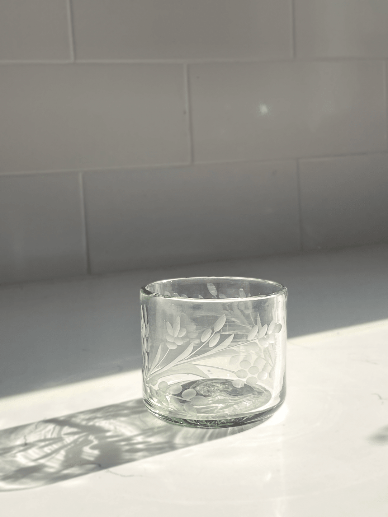 Hand - etched Tumbler Glass - Box Turtle