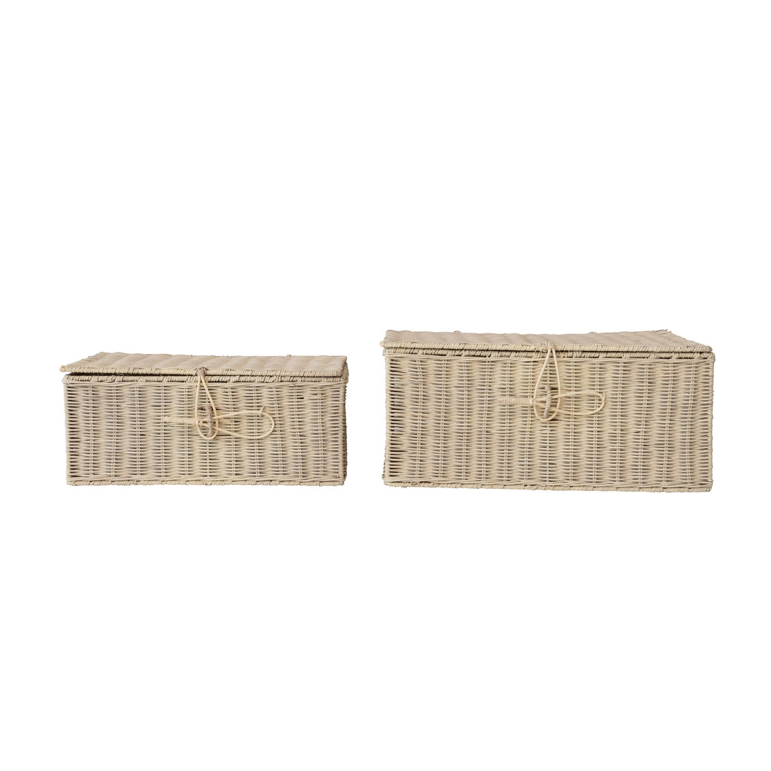 Hand - Woven Rattan Boxes - Box Turtle