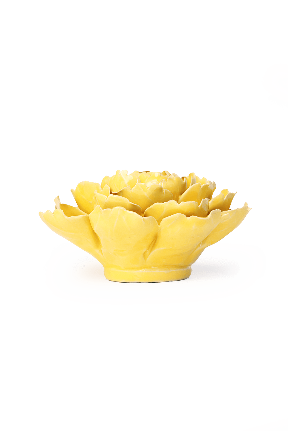 Handmade Ceramic Flowers Home Decor - Box Turtle