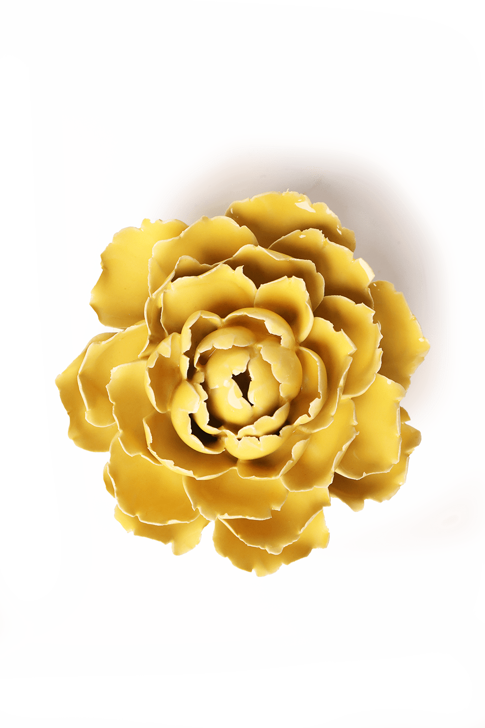 Handmade Ceramic Flowers Home Decor - Box Turtle