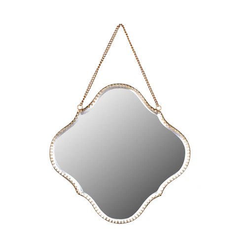 Hanging Mirrors - Box Turtle