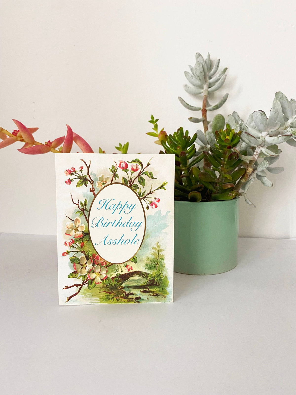 Happy Birthday Asshole Card - Box Turtle