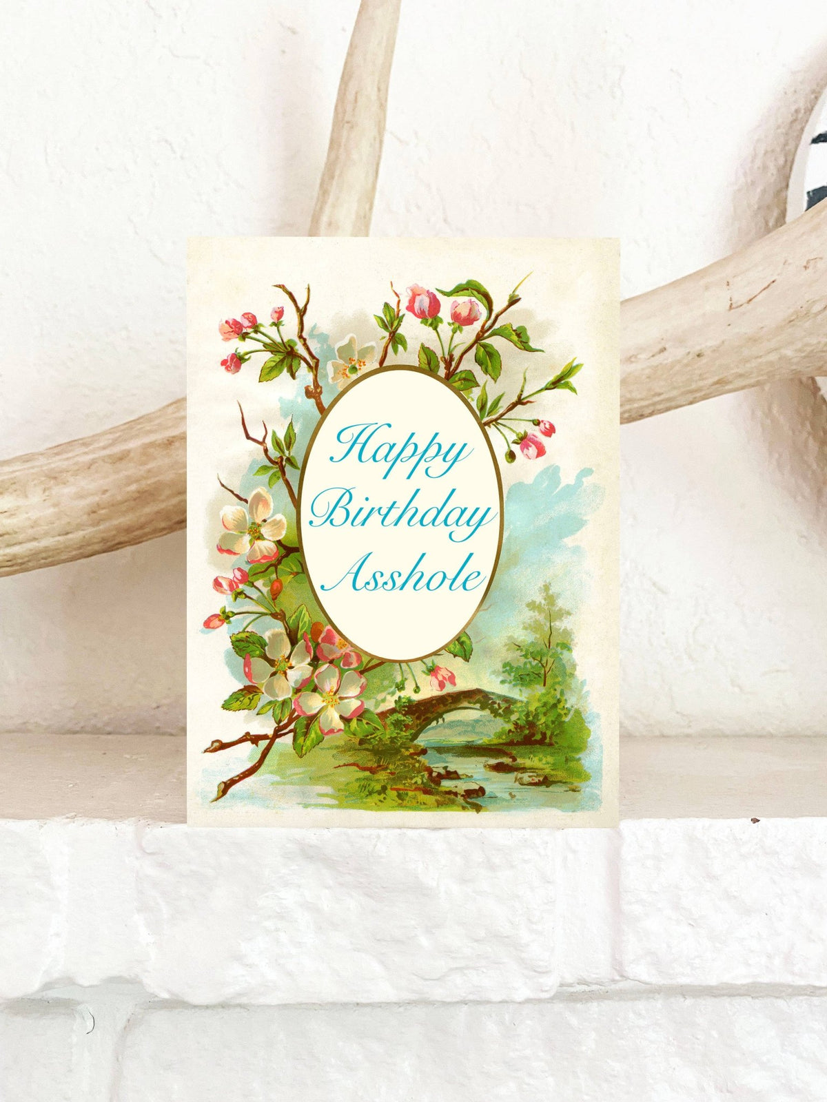 Happy Birthday Asshole Card - Box Turtle