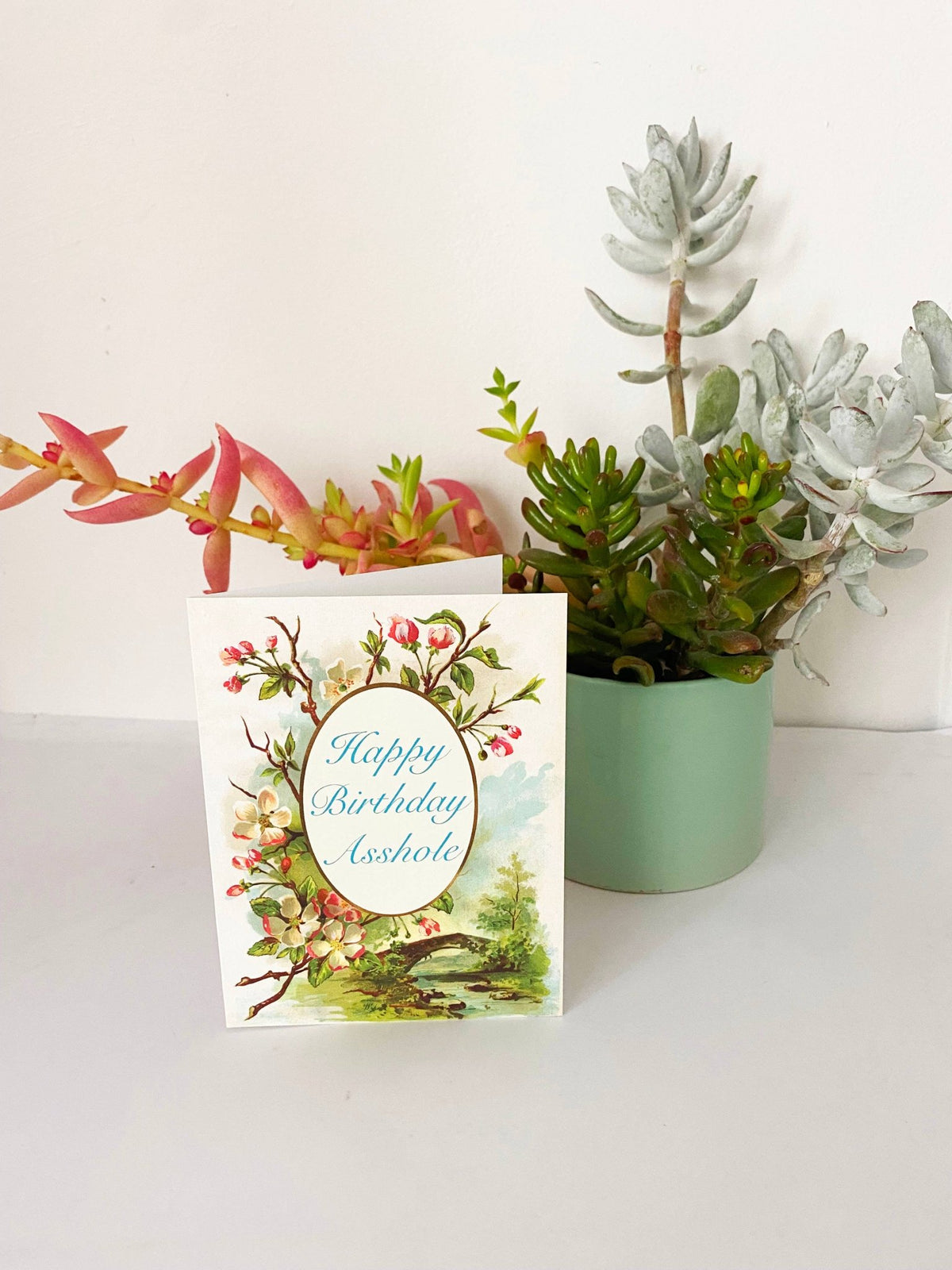 Happy Birthday Asshole Card - Box Turtle