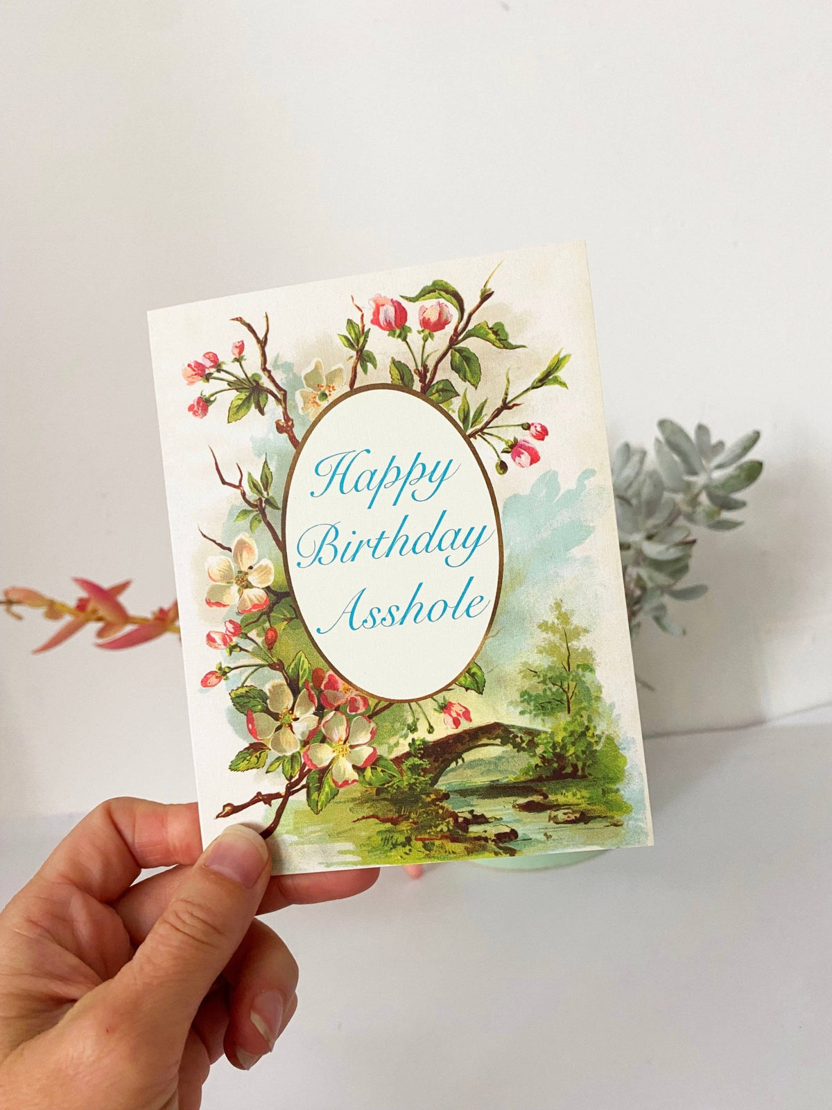 Happy Birthday Asshole Card - Box Turtle