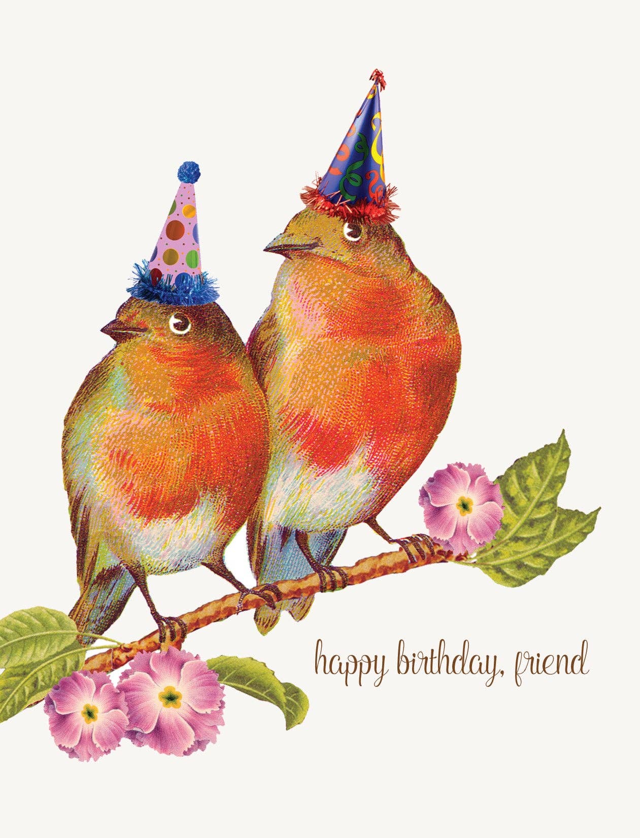 Happy Birthday Friend Bird Card - Box Turtle