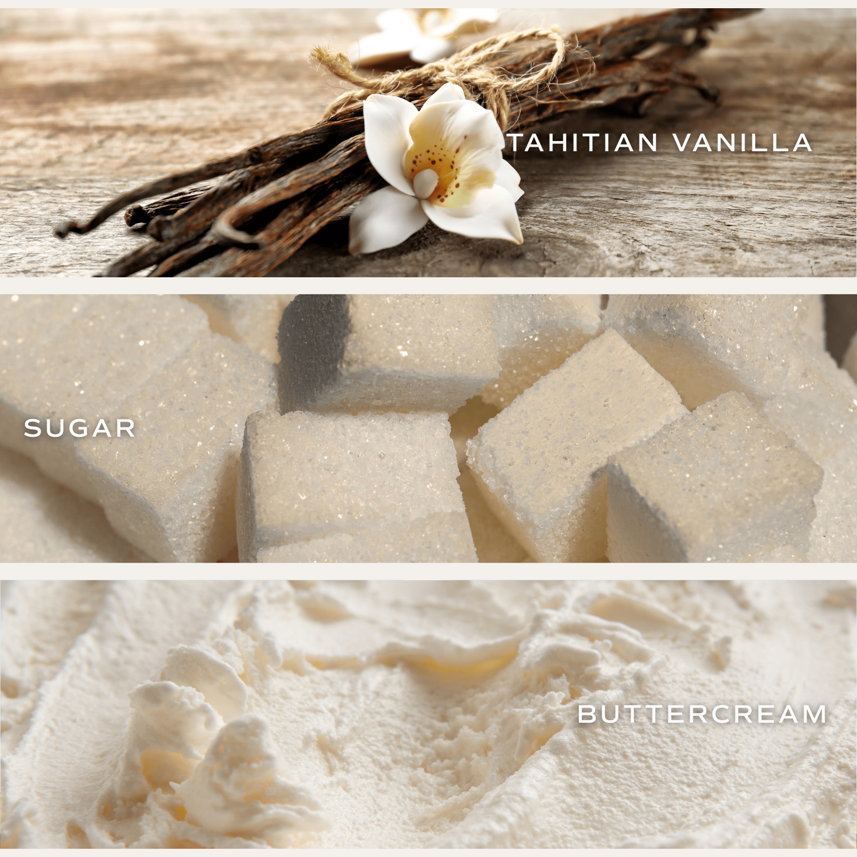 Happy Birthday Soy Candle - Box Turtle