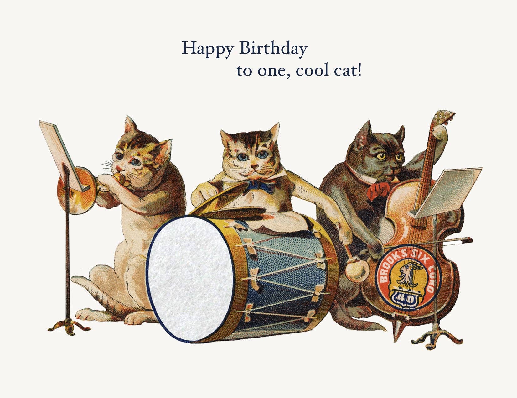 Happy Birthday to One Cool Cat Card - Box Turtle
