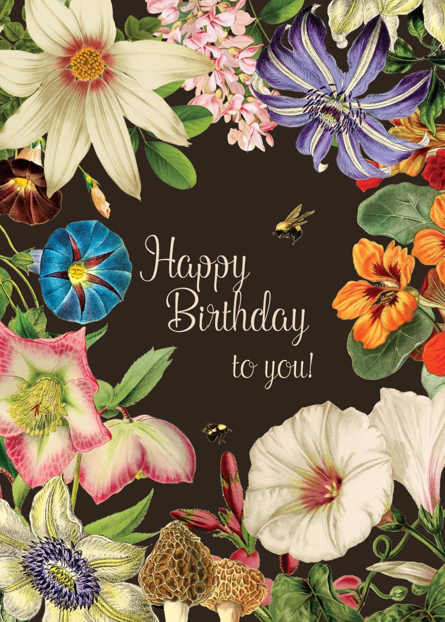 Happy Birthday To You Botanical Card - Box Turtle