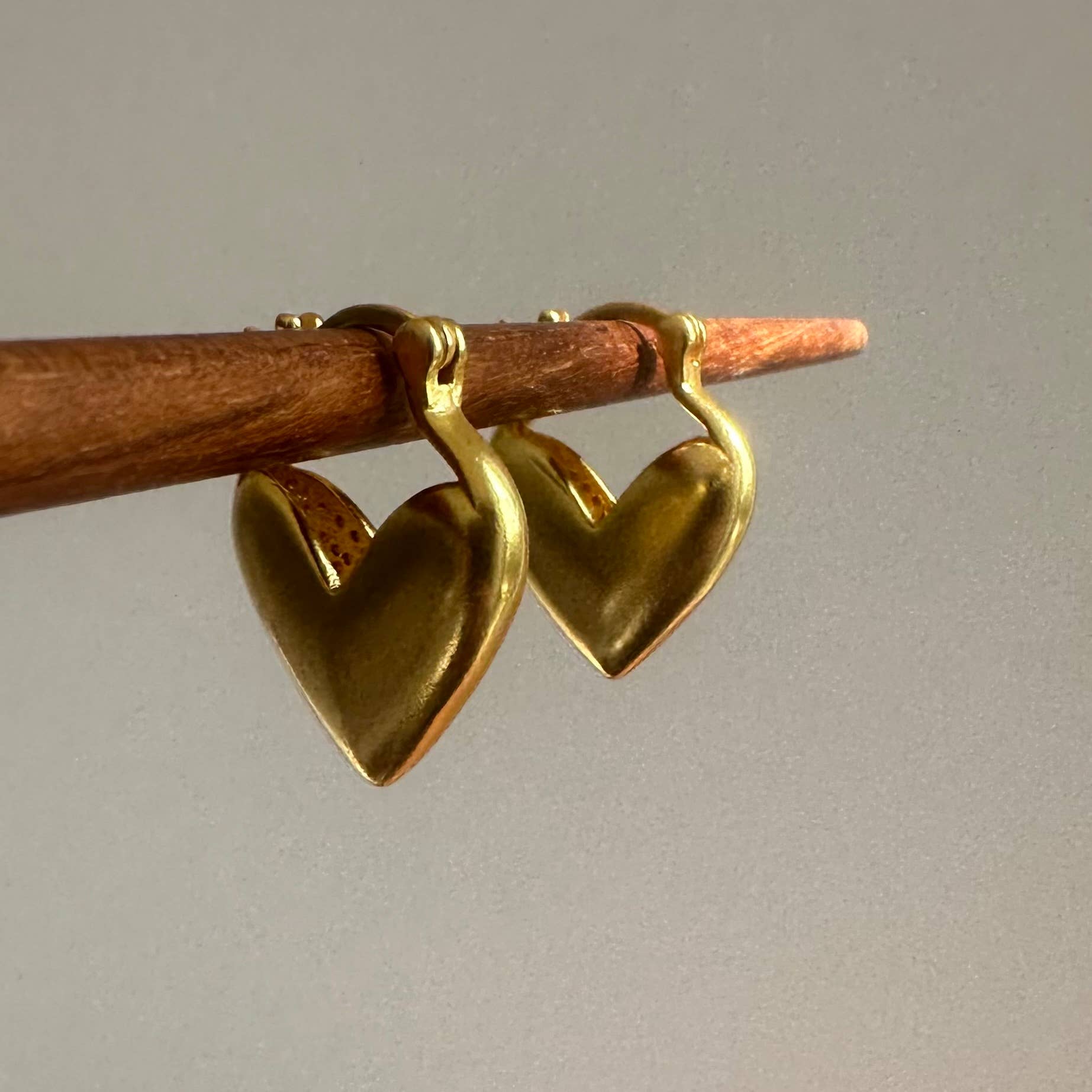 Heart Hoops - Box Turtle
