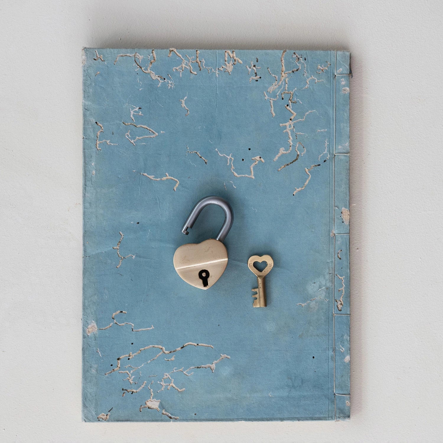 Heart Lock & Key - Box Turtle