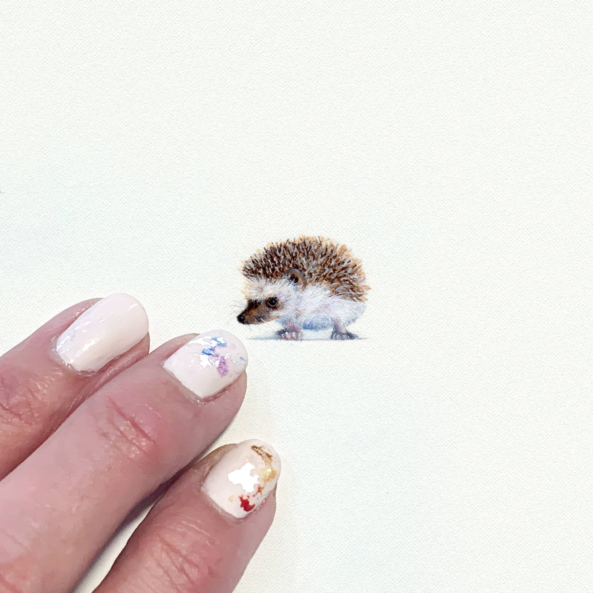 Hedgehog Miniature Watercolor Print - Box Turtle