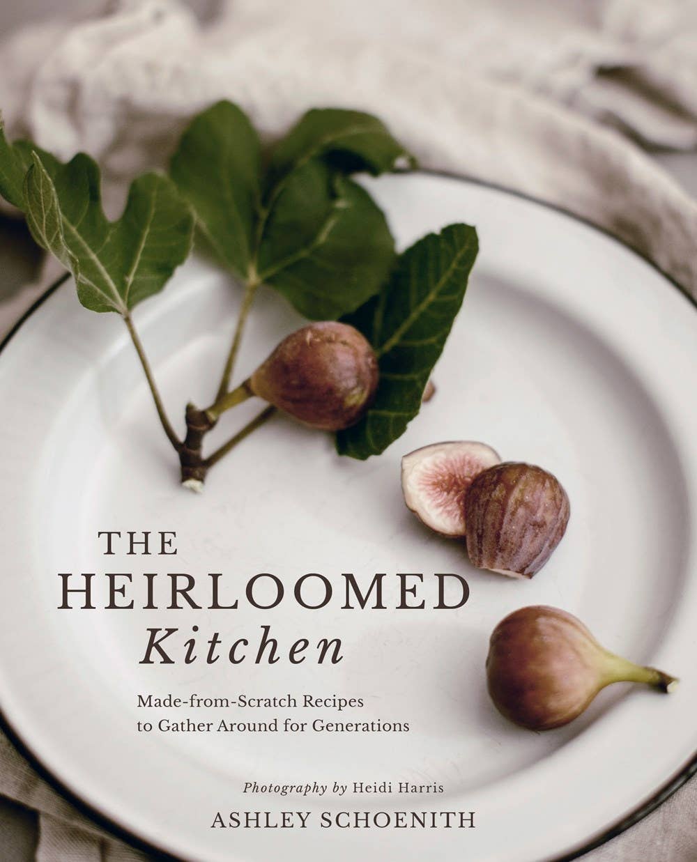 Heirloomed Kitchen - Box Turtle