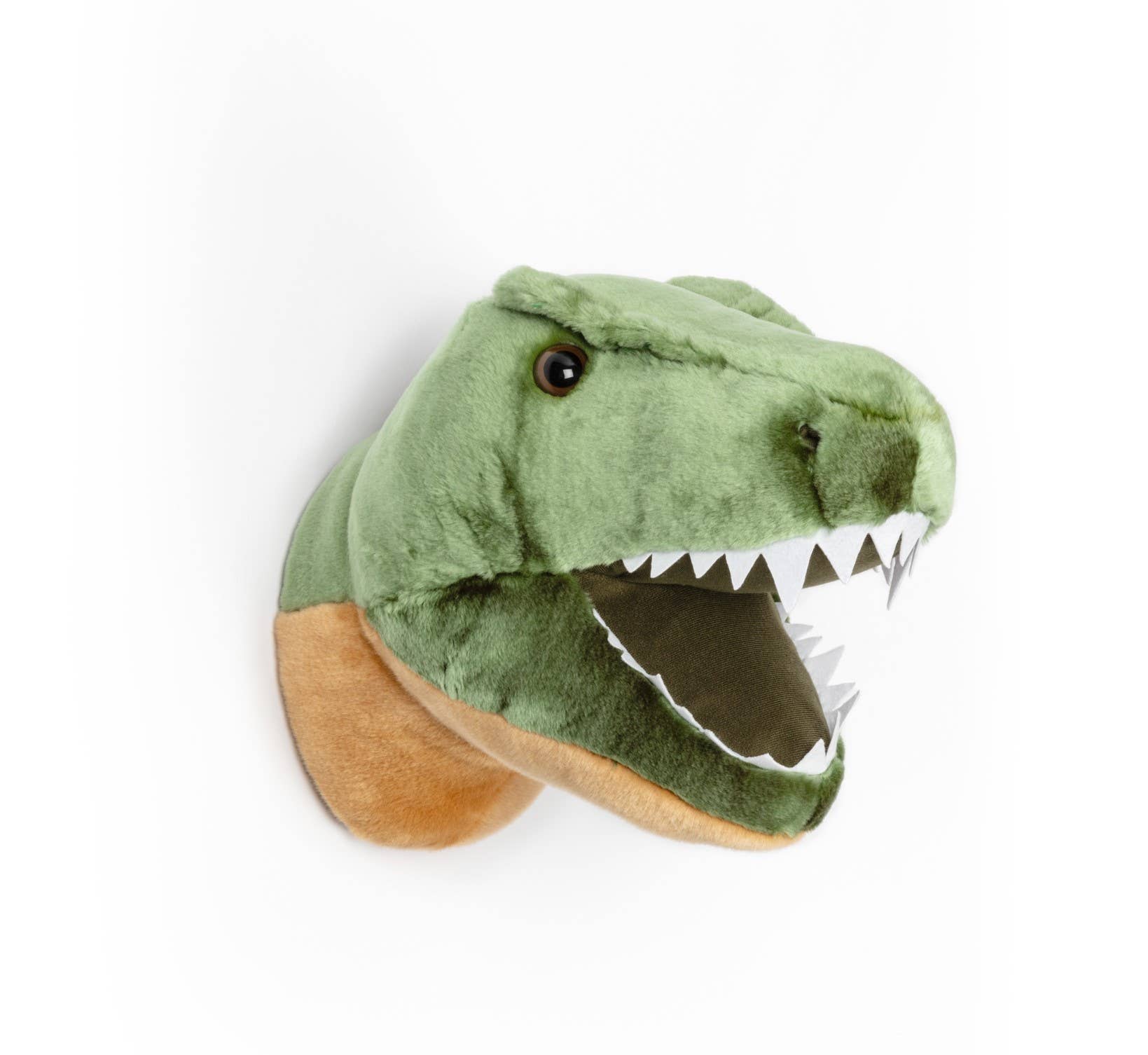 Hendrik the T - Rex Wall Hanger - Box Turtle