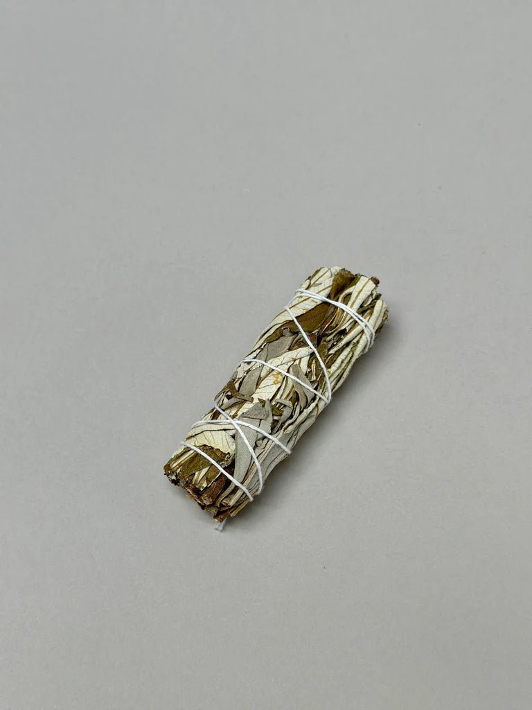 Herbal White Sage Smudge Sticks - Box Turtle