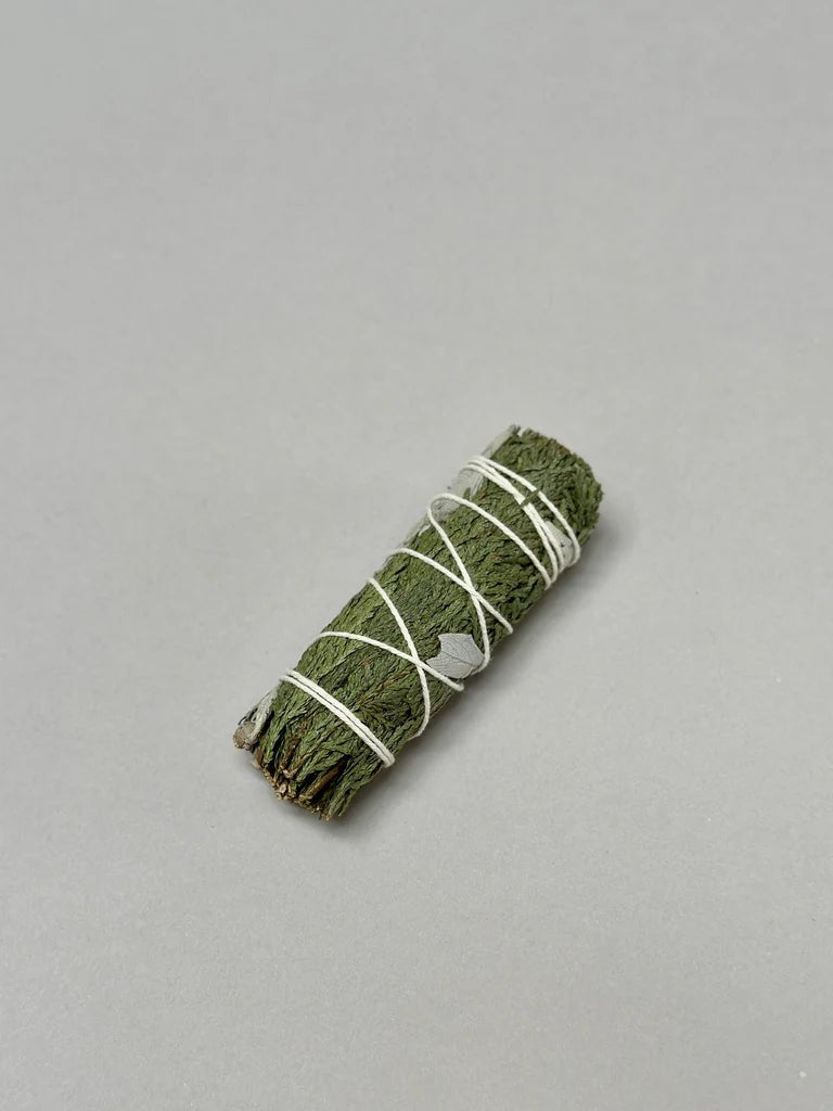 Herbal White Sage Smudge Sticks - Box Turtle