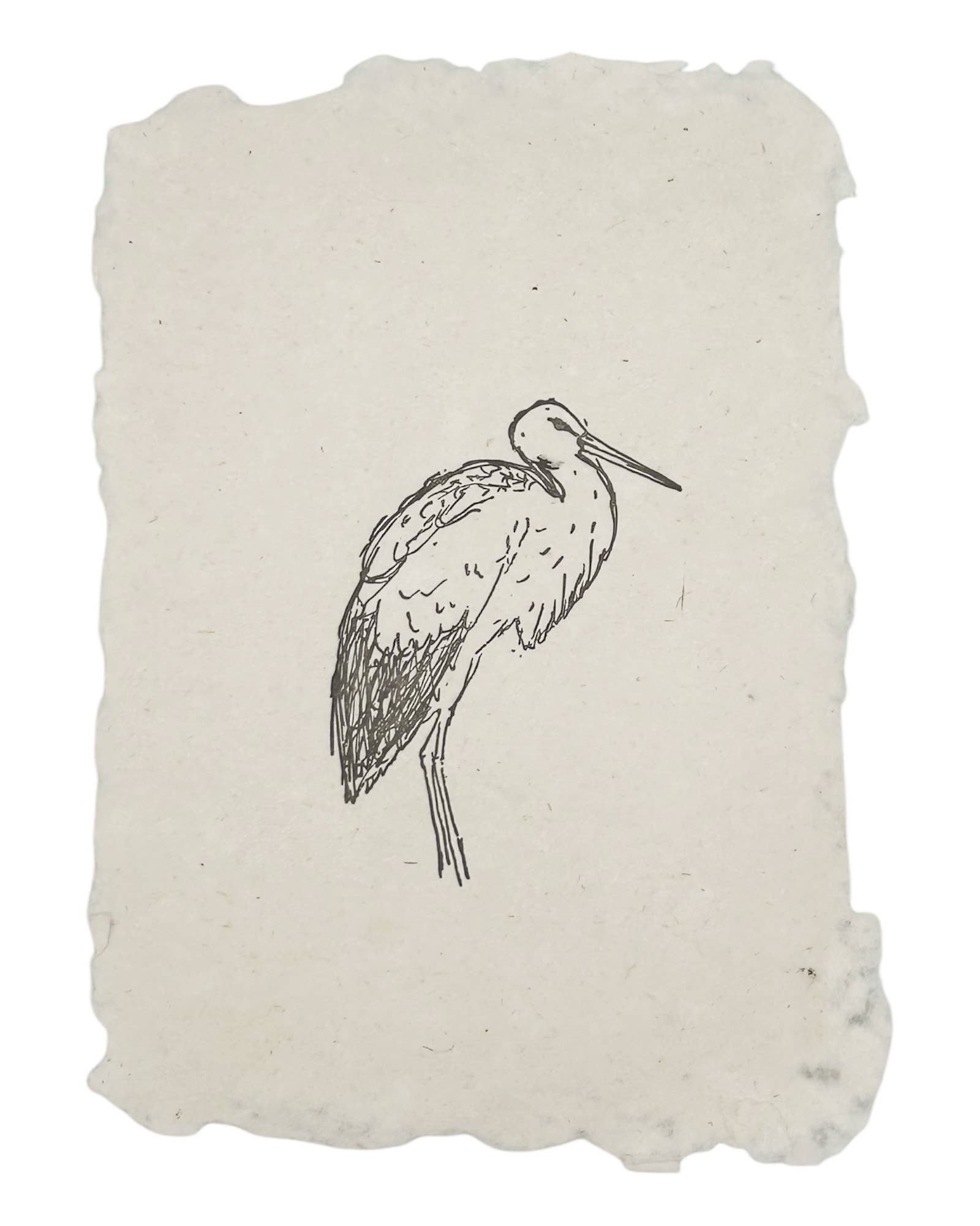 Heron Art Print - Box Turtle