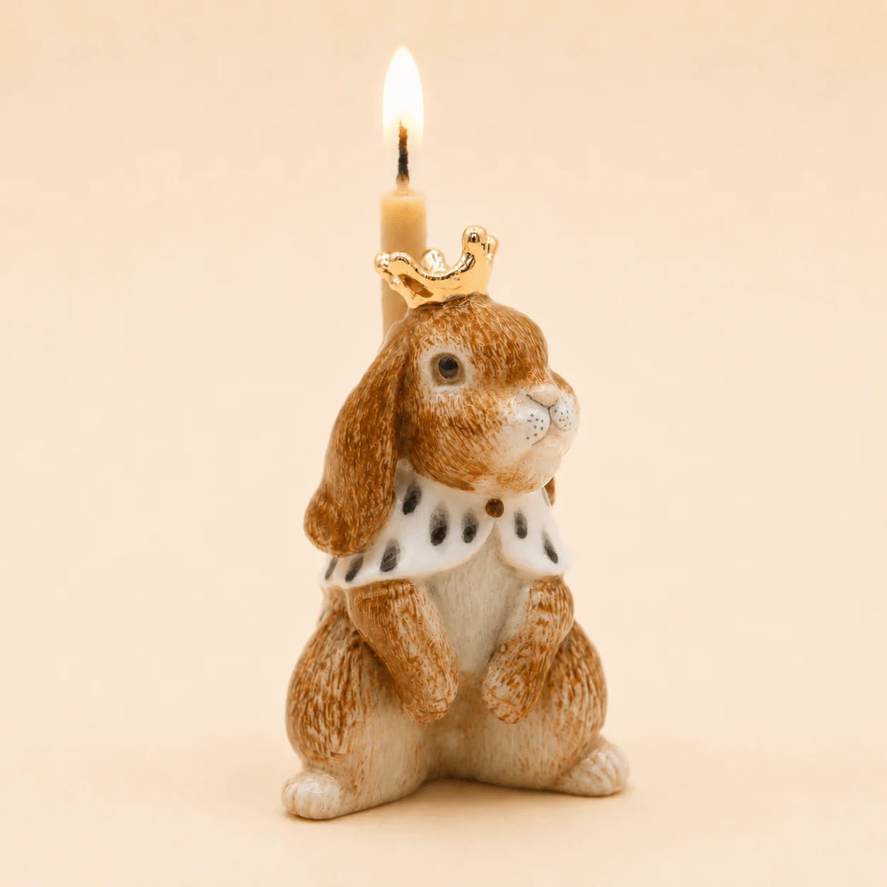 Highness Hare Cake Topper - Box Turtle