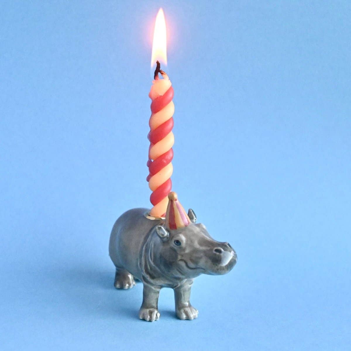 Hippo Cake Topper - Box Turtle