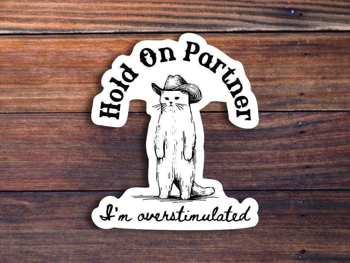 Hold On Partner I'm Overstimulated Sticker - Box Turtle