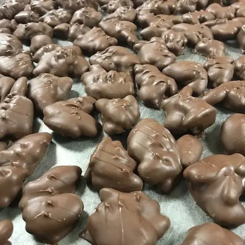 Homemade Pecan Caramel Turtle - Box Turtle