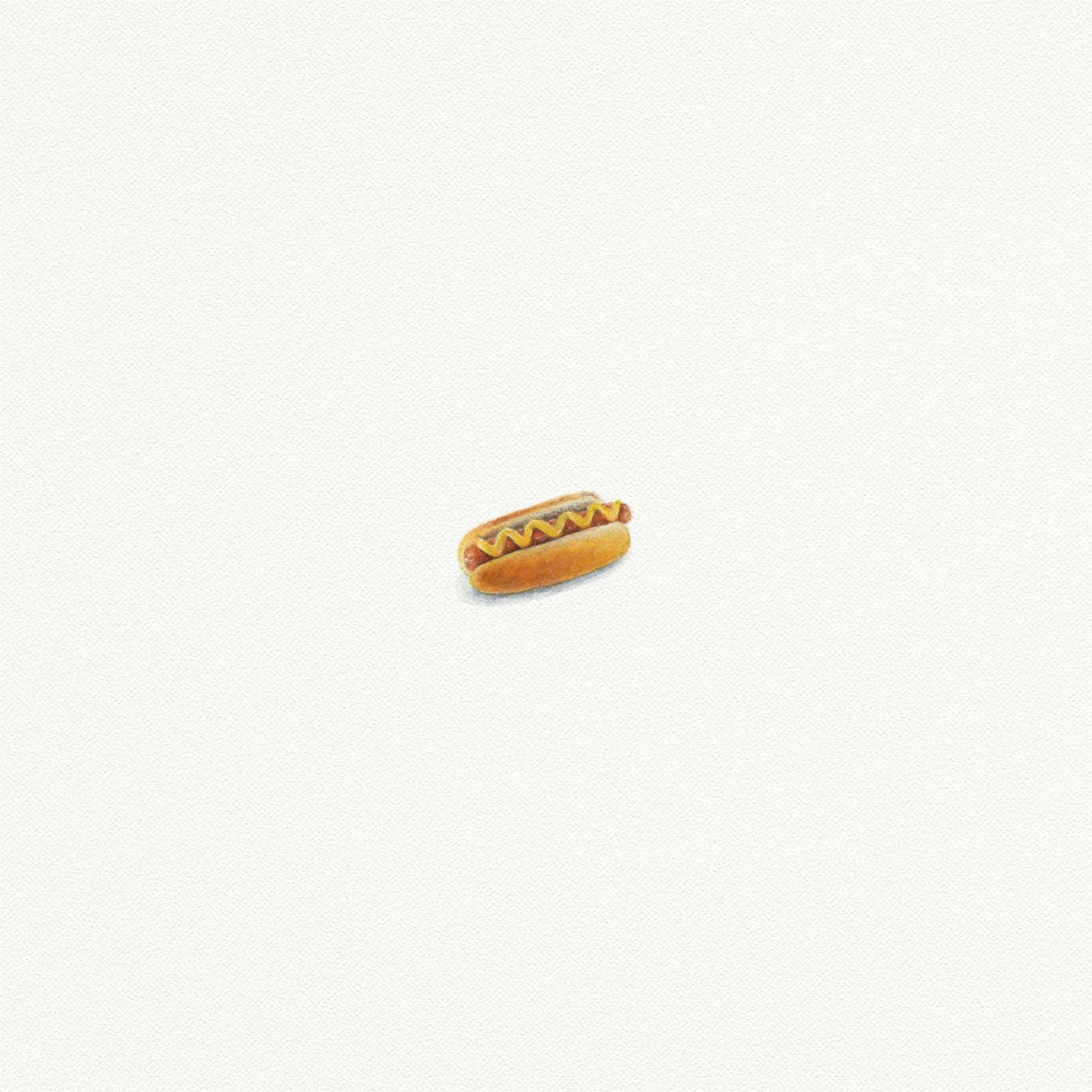 Hot Dog Miniature Watercolor Print - Box Turtle