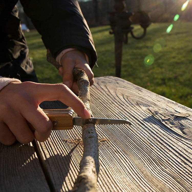 Huckleberry Pocket Knife - Box Turtle