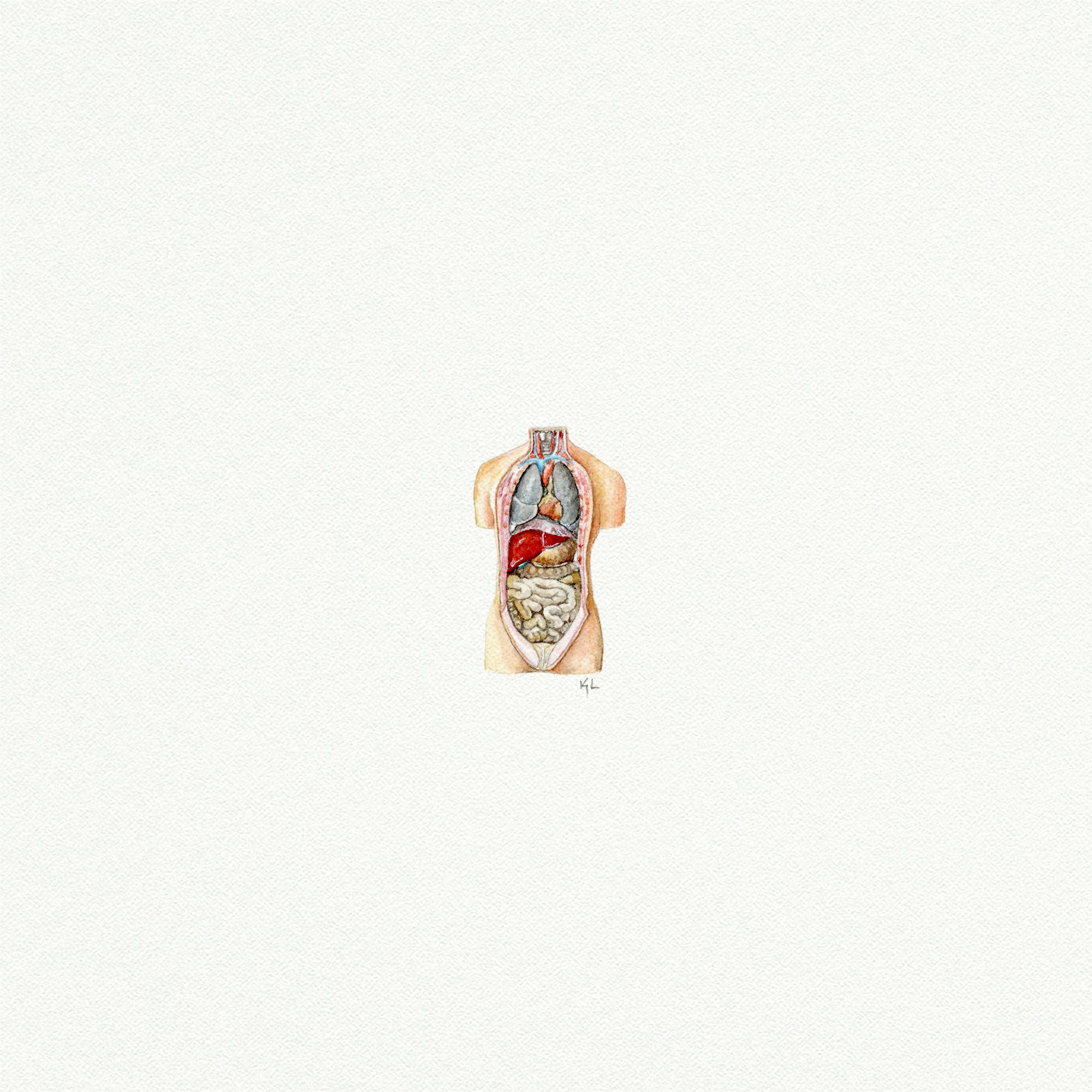 Human Torso Miniature Watercolor Painting - Box Turtle